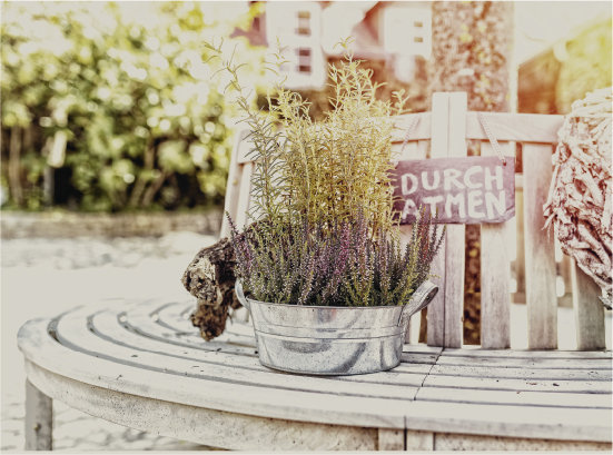 Neues aus dem Weingut