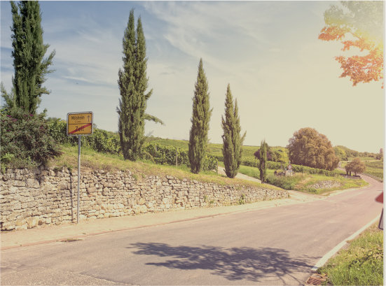 Termine rundum und mittendrin